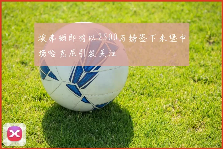 埃弗顿即将以2500万镑签下米堡中场哈克尼引发关注