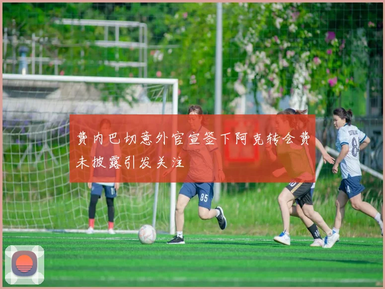费内巴切意外官宣签下阿克转会费未披露引发关注
