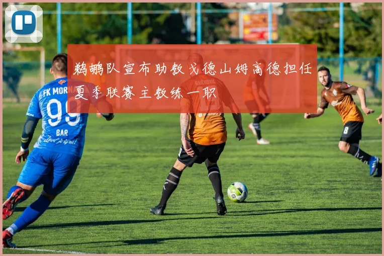 鹈鹕队宣布助教戈德山姆高德担任夏季联赛主教练一职